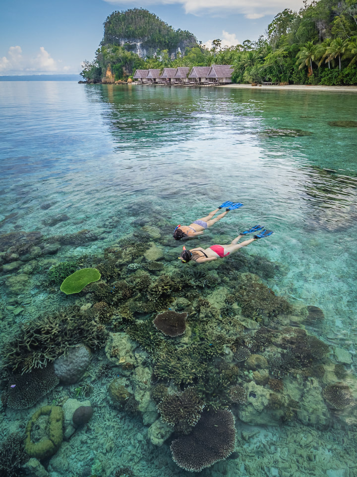 Guests snorkeling on the House Reef